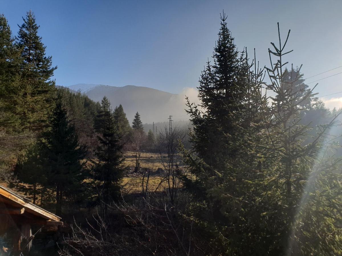 Vila Kosherinata Bansko Exteriör bild